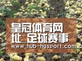 种植基地八(图1)