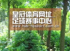 种植基地九