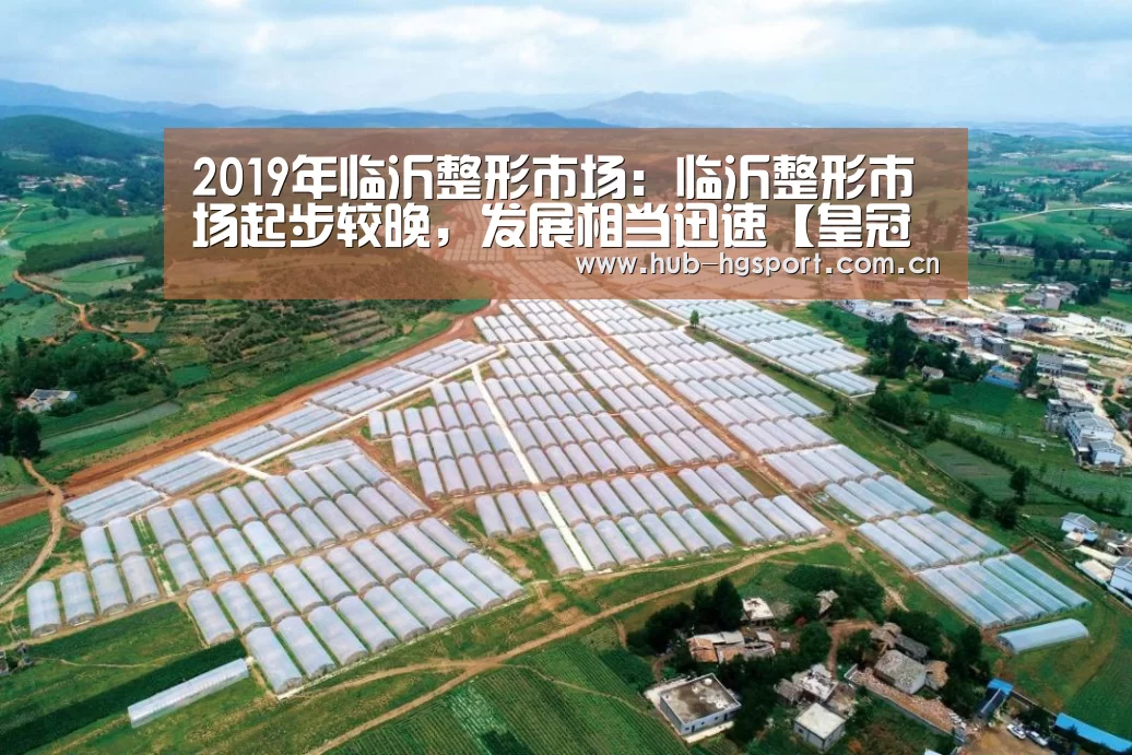 2019年临沂整形市场:临沂整形市场起步较晚,发展相当迅速【皇冠足球】(图1) 皇冠足球