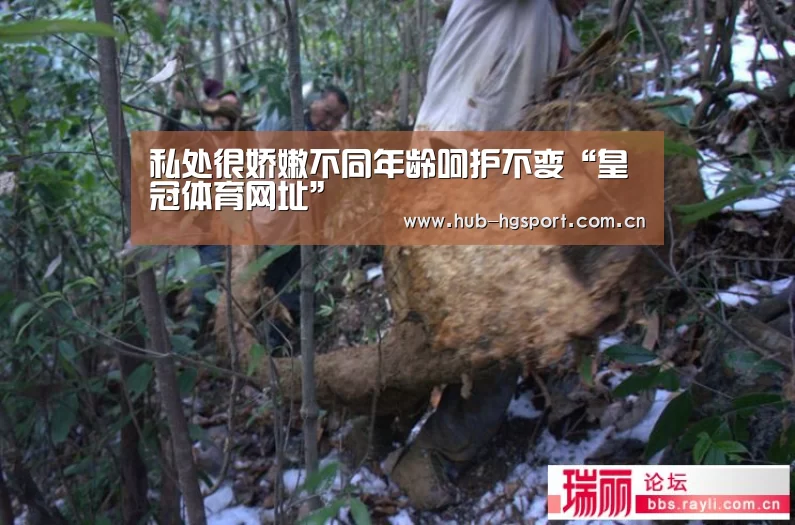 皇冠足球